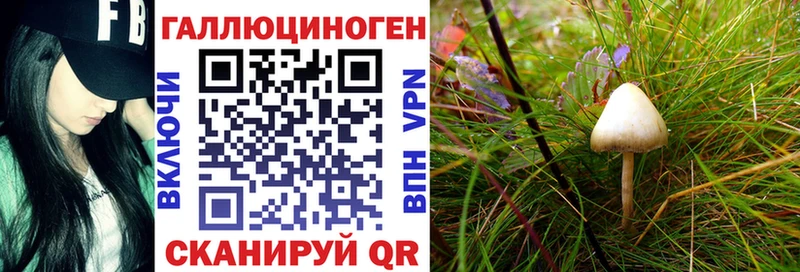 Галлюциногенные грибы GOLDEN TEACHER Гагарин